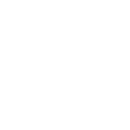 REALM Icon